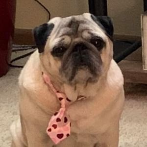 Meet your Posher, Debra